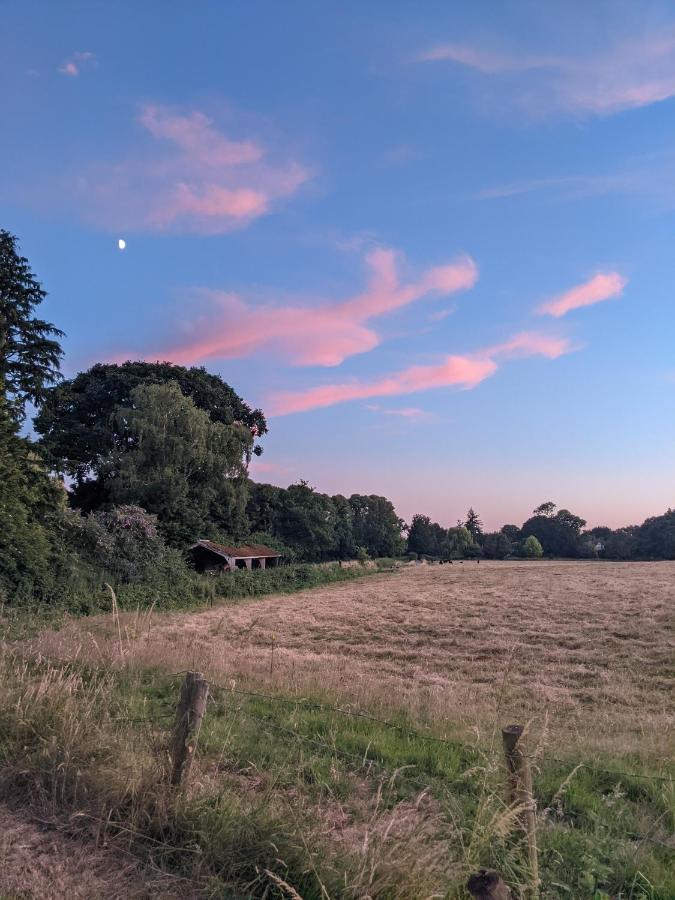 Aldon Farmhouse Villa Yeovil Eksteriør bilde